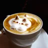 coffeecat23